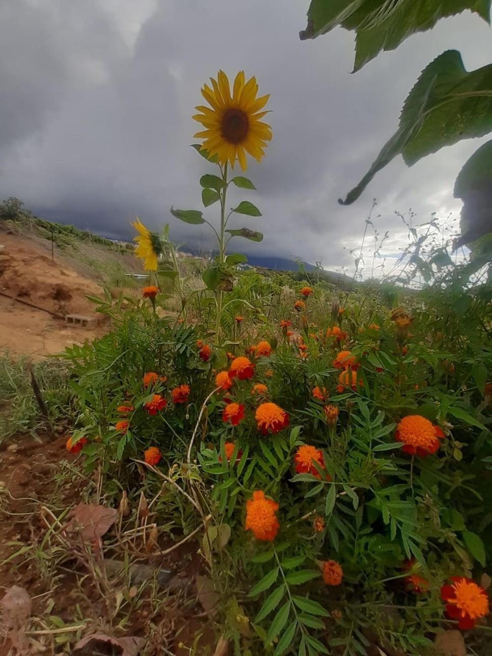 Finca De Luna Ла Оротава Екстериор снимка