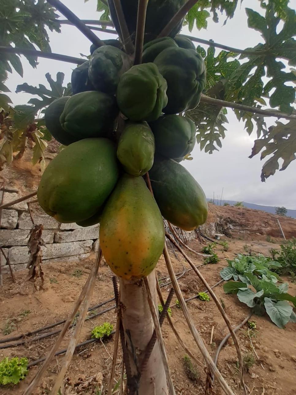 Finca De Luna Ла Оротава Екстериор снимка