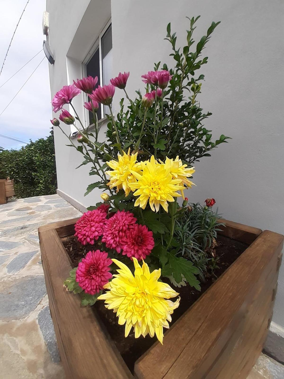 Finca De Luna Ла Оротава Екстериор снимка